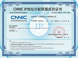 一诺云CNNIC IP地址联盟成员单位证书